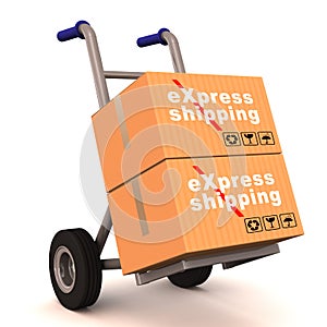 Express shipping