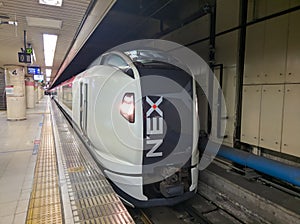 Express train Nex from Narita Airport to Tokyo, Japan
