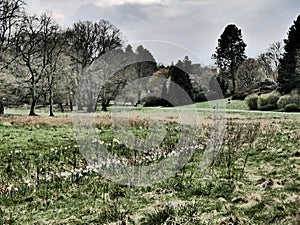 Expressionistic visual effects. Dramatic weather, view of the meadow of a stream.