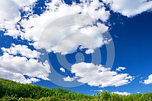 Expressive blue sky,cloudy and green field