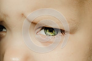 Expressive look of a small child. Baby's eye close-up. Gray green iris