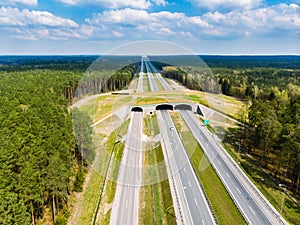 Expressway with ecoduct crossin