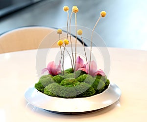 An exquisite bonsai on the table.