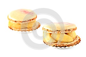 Exquisite french macarons