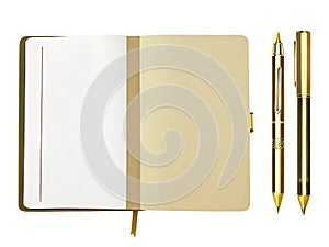 An exquisite golden ballpoint pen, a ripped-out page, and a blank open notebook with space for your content.