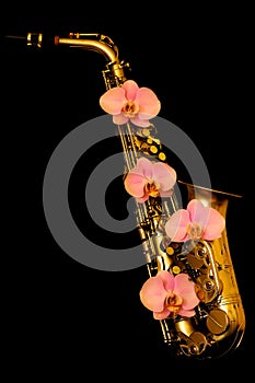 Golden matte color alto saxophone with pink orchids on black background