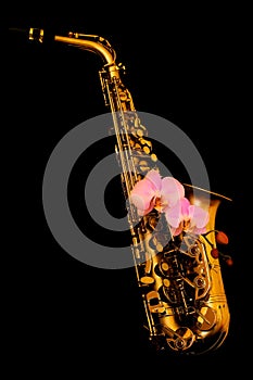 Golden matte finished alto saxophone with pink orchids on black background