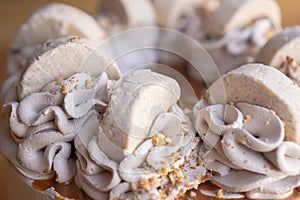 Exquisite mazapan cake decorated with whipped cream and walnut pieces in close up photo