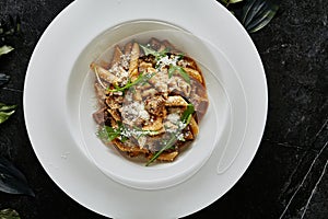 Exquisite Serving White Restaurant Plate of Homemade Italian Penne Pasta