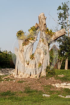 Exquisite Tree Branch