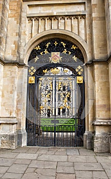 Exquisitely crafted antique metal door