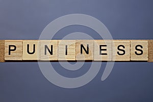 Ext on word puniness from gray wooden letters