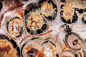 Exteme macro of a Leopardskin Jasper surface.