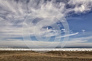 Extensive beach on the coast of Chile photo