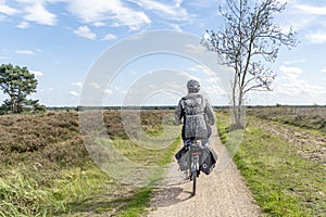 Extensive cycle paths through the beautiful heathlands near Putten, Netherlands