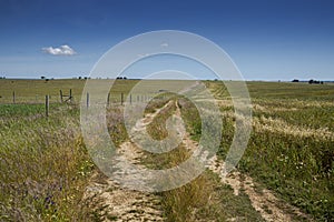 Extensive dry farming of cereals in the Castro Verde Special Protection Area