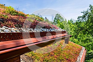 Extensive green ecological living sod roof covered with vegetation mostly sedum sexangulare