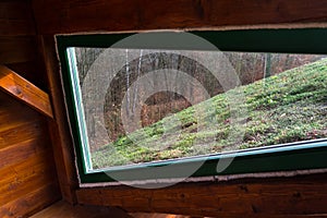 Extensive green living sod roof with vegetation seen from inside