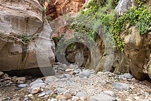 Extensive greenery grows on mountainsides on the both sides of the shallow stream in the gorge Wadi Al Ghuwayr or An Nakhil and