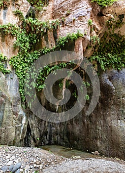 Extensive greenery grows on mountainsides on both sides of shallow stream in gorge Wadi Al Ghuwayr or An Nakhil and the wadi Al