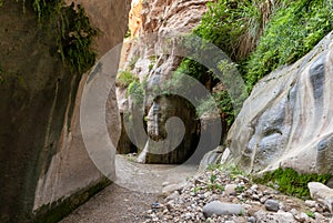 Extensive greenery grows on mountainsides on both sides of shallow stream in gorge Wadi Al Ghuwayr or An Nakhil and wadi Al