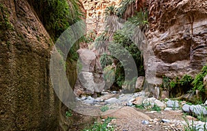 Extensive greenery and the high date palms grows on the mountain slopes in the gorge Wadi Al Ghuwayr or An Nakhil and the wadi Al