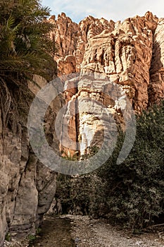 Extensive greenery and palms grows on mountainsides on both sides of shallow stream in gorge Wadi Al Ghuwayr or An Nakhil and wadi