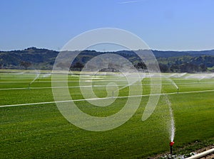 Extensive irrigation on a green field