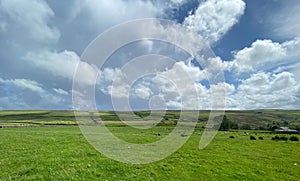 Extensive landscape near Piper Lane, with sheep and moorland in, Cowling, Keighley, UK