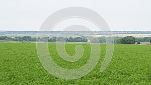 Extensive meadows and fields of Prokhorovka