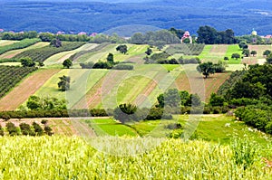 Extensive rural landscape