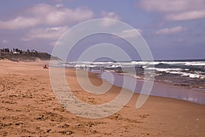 Extensive Stretch of Beach Sand with Sunbathers