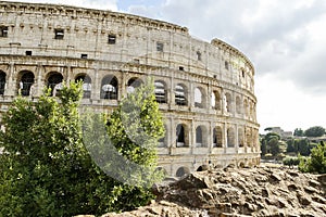 Exterior Architectural Sights of The Roman Colosseum (Colosseo Romano) in Rome, Lazio Province, Italy.