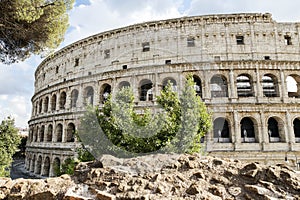 Exterior Architectural Sights of The Roman Colosseum (Colosseo Romano) in Rome, Lazio Province, Italy.