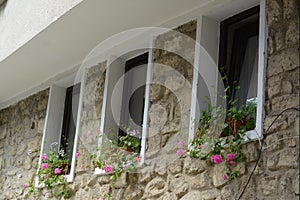 Exterior of beautiful residential building with small windows and flowers in pots