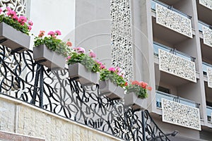 Exterior of building with balconies decorated with beautiful flowers, low angle view