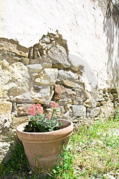 Exterior decoration of flowers and pots in greek style