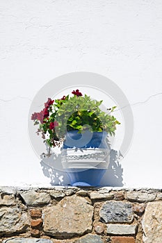 Exterior decoration of flowers and pots in greek style