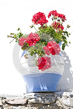 Exterior decoration of flowers and pots in greek style