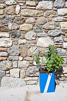 Exterior decoration of flowers and pots in greek style