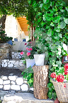Exterior decoration of flowers and pots in greek style