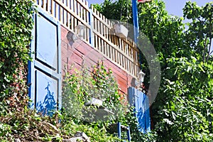 Exterior decoration of flowers and pots in greek style