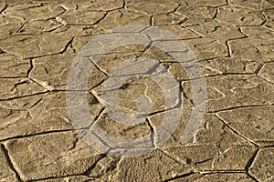 Exterior Decorative Cement Flooring, Perspective View of Stamped Concrete Pavement