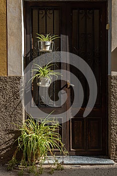 Exterior door of a house decorated with plants
