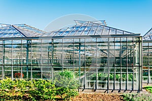 Exterior of a flower growing greenhouse in the Netherlands