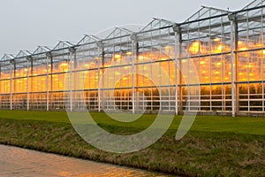 commercial greenhouse