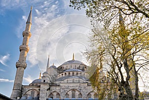 Exterior low angle day shot of domes of Sultan Ahmed Mosque Blue Mosque, Istanbul, Turkey