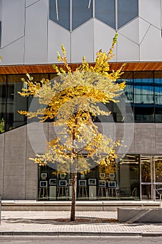 Exterior of the main branch of the Calgary Public Library