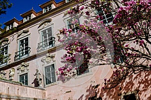 Exterior of the Marquis of Pombal Palace with busts and decorative statuary, tree with spring flowers, Oeiras - Portugal