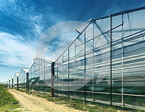 The exterior of a modern glasshouse